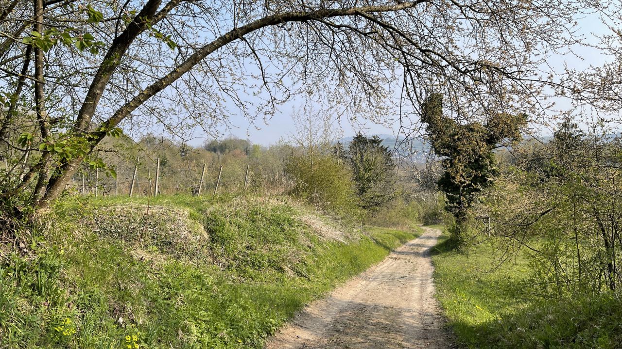 Weg