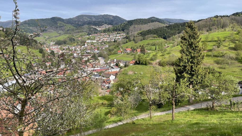 Ottenhöfen