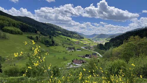 Aussicht ins Tal