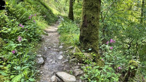 Wanderweg